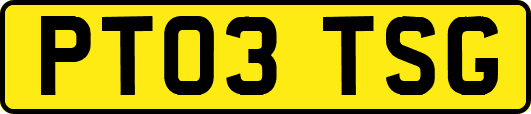 PT03TSG