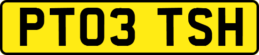 PT03TSH