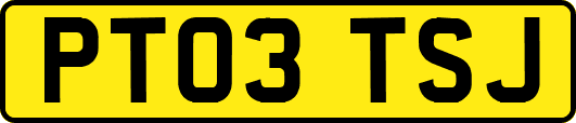 PT03TSJ