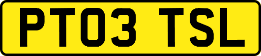 PT03TSL