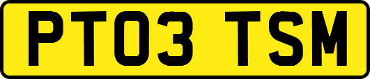 PT03TSM