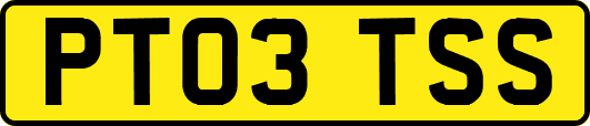 PT03TSS
