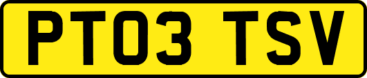 PT03TSV