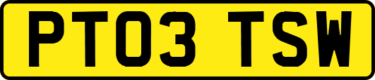 PT03TSW