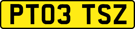 PT03TSZ