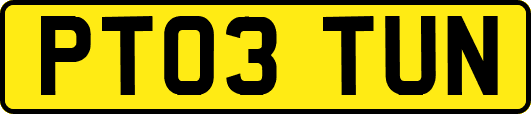 PT03TUN