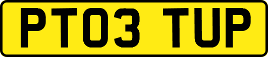 PT03TUP
