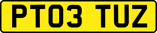 PT03TUZ