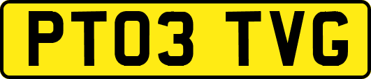 PT03TVG