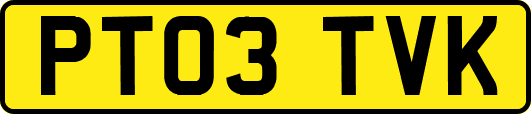 PT03TVK