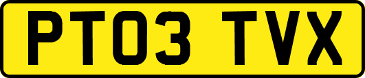 PT03TVX