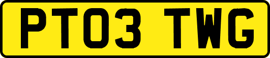 PT03TWG