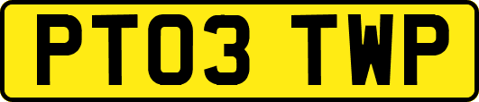 PT03TWP
