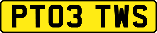 PT03TWS