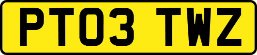 PT03TWZ