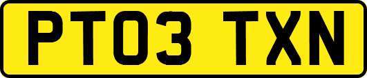 PT03TXN