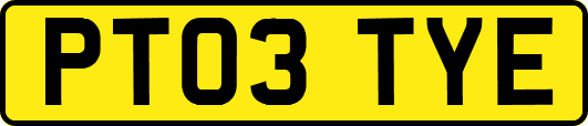 PT03TYE