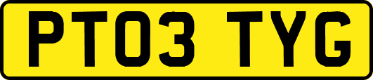 PT03TYG