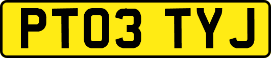 PT03TYJ