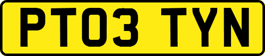 PT03TYN