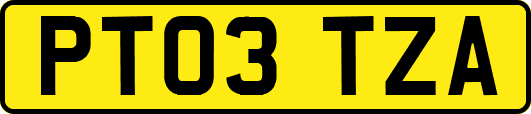 PT03TZA