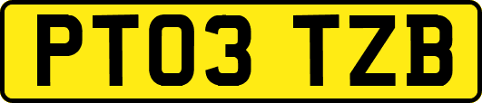 PT03TZB