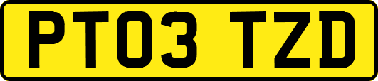 PT03TZD