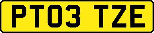PT03TZE