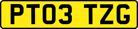 PT03TZG