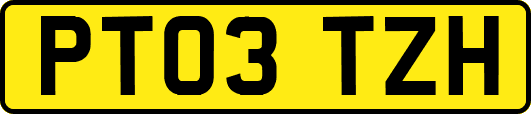 PT03TZH