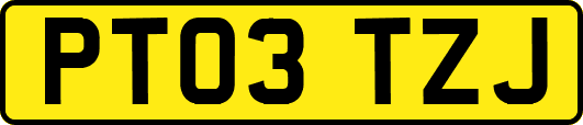 PT03TZJ