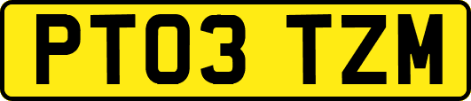 PT03TZM