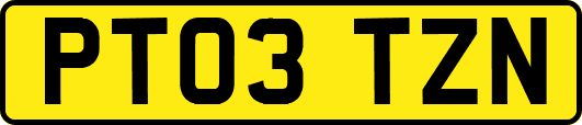 PT03TZN