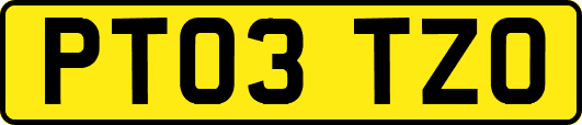 PT03TZO