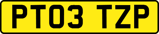 PT03TZP