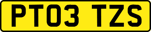 PT03TZS