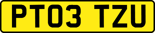 PT03TZU