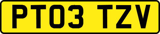 PT03TZV