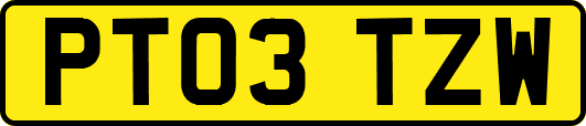 PT03TZW