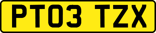 PT03TZX