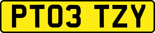 PT03TZY