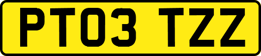 PT03TZZ