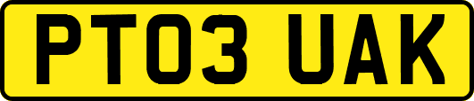 PT03UAK