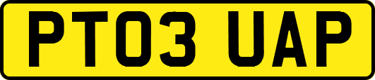 PT03UAP