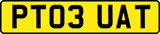 PT03UAT