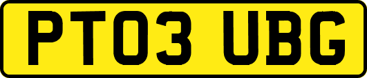 PT03UBG