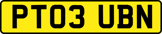 PT03UBN