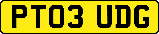 PT03UDG