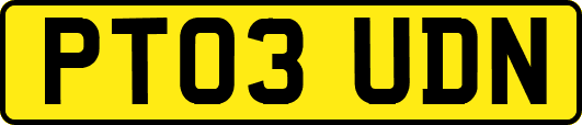 PT03UDN