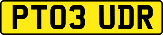 PT03UDR